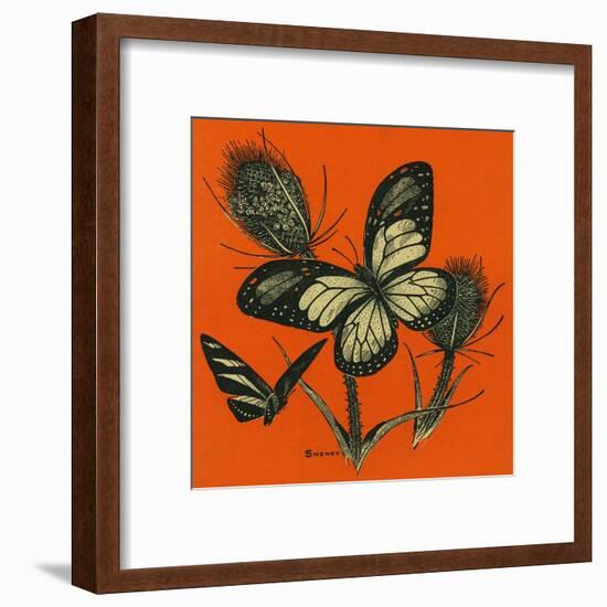 Nature Magazine - View of Butterflies on Thistles, c.1949-Lantern Press-Framed Art Print