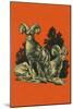 Nature Magazine - View of Long Horned Sheep, c.1948-Lantern Press-Mounted Art Print