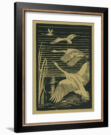 Nature Magazine - View of Swans Taking Flight, c.1938-Lantern Press-Framed Art Print