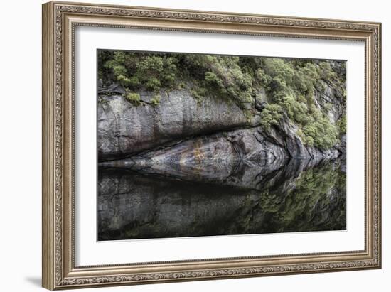 Nature Mirrored-Nathan Secker-Framed Giclee Print
