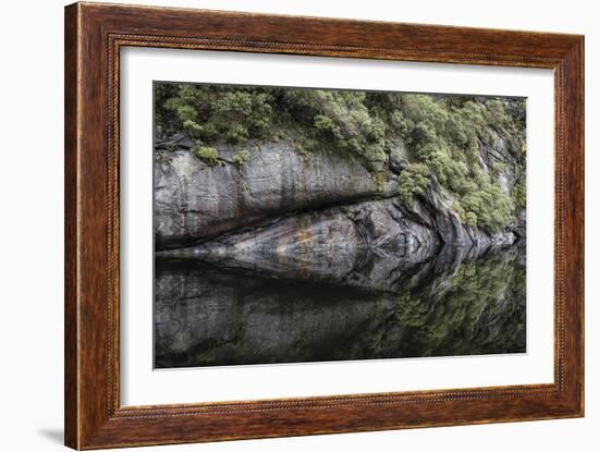 Nature Mirrored-Nathan Secker-Framed Giclee Print