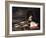 Nature morte aux poissons-Jacques-emile Blanche-Framed Giclee Print