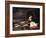 Nature morte aux poissons-Jacques-emile Blanche-Framed Giclee Print