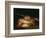 Nature Morte De Breme D'or  (Still Life with Golden Bream) Peinture De Francisco De Goya (1746-182-Francisco Jose de Goya y Lucientes-Framed Giclee Print