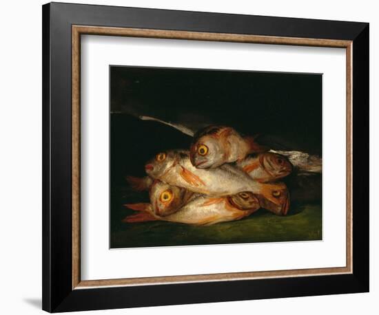 Nature Morte De Breme D'or  (Still Life with Golden Bream) Peinture De Francisco De Goya (1746-182-Francisco Jose de Goya y Lucientes-Framed Giclee Print