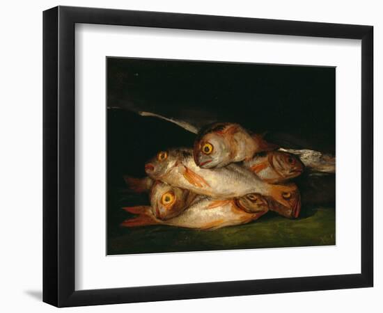 Nature Morte De Breme D'or  (Still Life with Golden Bream) Peinture De Francisco De Goya (1746-182-Francisco Jose de Goya y Lucientes-Framed Giclee Print