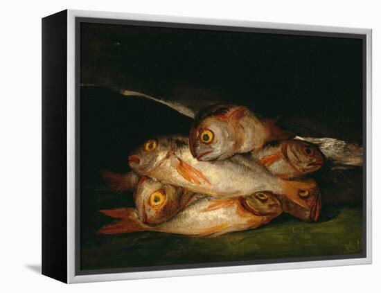 Nature Morte De Breme D'or  (Still Life with Golden Bream) Peinture De Francisco De Goya (1746-182-Francisco Jose de Goya y Lucientes-Framed Premier Image Canvas