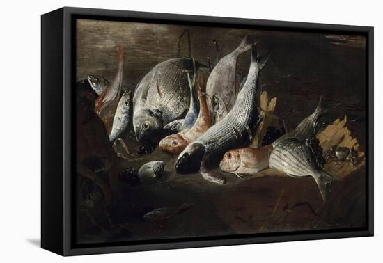 Nature morte. Poissons et crabes-Giuseppe Recco-Framed Premier Image Canvas