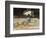 Nature morte-Pierre-Auguste Renoir-Framed Giclee Print