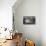 Nature morte-Marie Blanchard-Giclee Print displayed on a wall