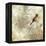 Nature Notation II-Carol Robinson-Framed Stretched Canvas