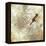 Nature Notation II-Carol Robinson-Framed Stretched Canvas