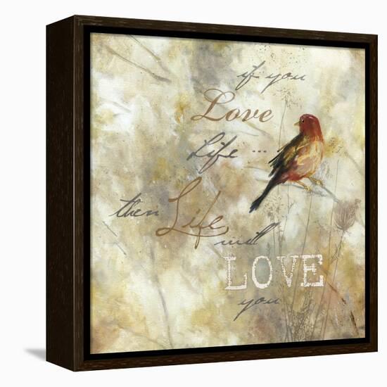 Nature Notation II-Carol Robinson-Framed Stretched Canvas