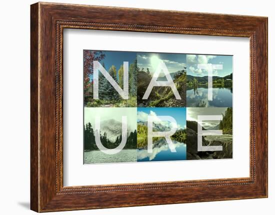Nature Patch-Marcus Prime-Framed Photographic Print
