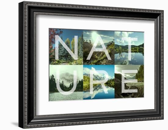 Nature Patch-Marcus Prime-Framed Photographic Print