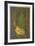 Nature Prays Without Words 2-Lebadang-Framed Collectable Print