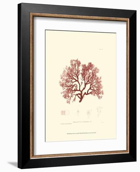 Nature Print in Coral II-null-Framed Art Print