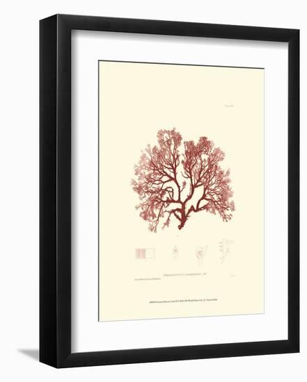 Nature Print in Coral II-null-Framed Art Print