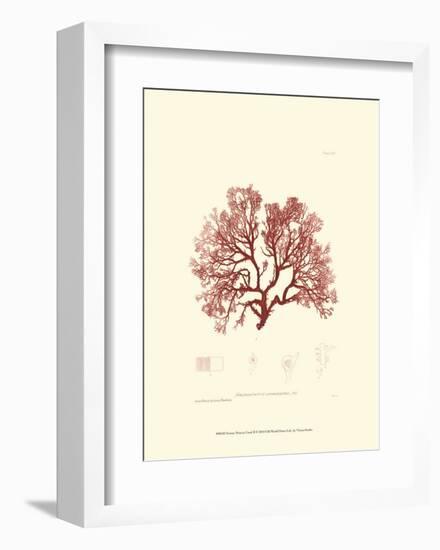 Nature Print in Coral II-null-Framed Art Print