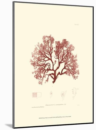 Nature Print in Coral II-null-Mounted Art Print