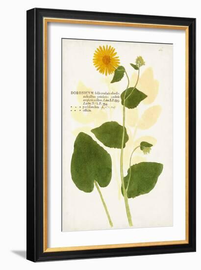 Nature Printed Botanicals I-Unknown-Framed Art Print