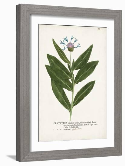 Nature Printed Botanicals II-Unknown-Framed Art Print