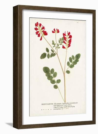 Nature Printed Botanicals III-Unknown-Framed Art Print