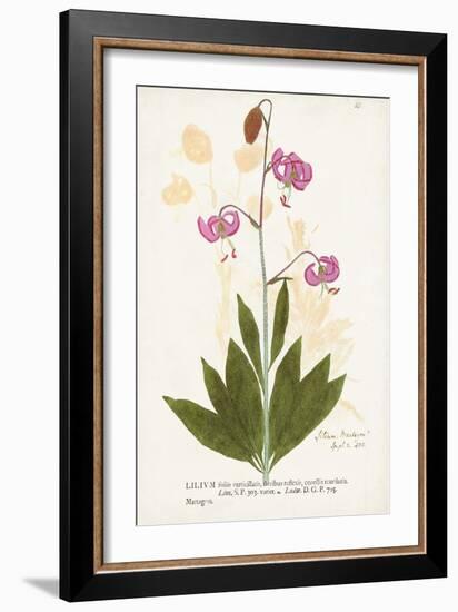 Nature Printed Botanicals V-Unknown-Framed Art Print