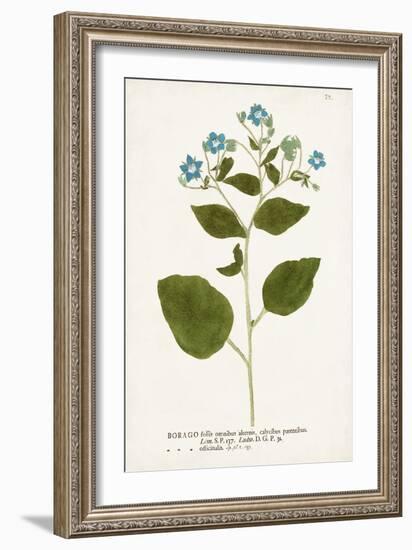 Nature Printed Botanicals VI-Unknown-Framed Art Print