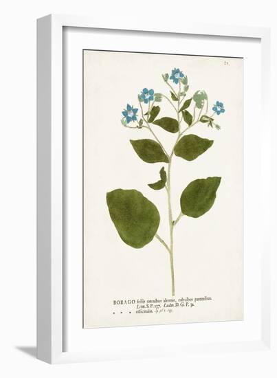 Nature Printed Botanicals VI-Unknown-Framed Art Print