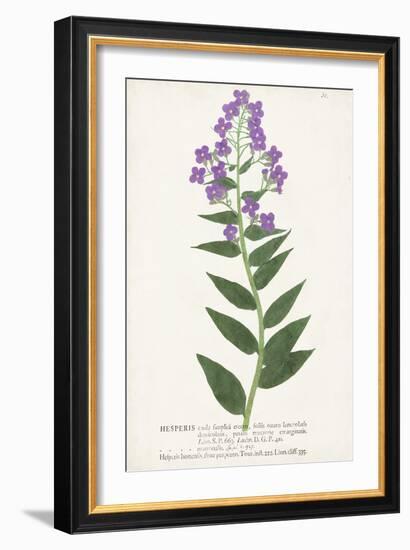 Nature Printed Botanicals VII-Unknown-Framed Art Print