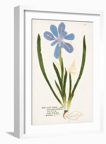 Nature Printed Botanicals XI-Unknown-Framed Art Print