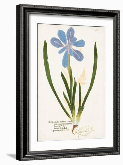 Nature Printed Botanicals XI-Unknown-Framed Art Print