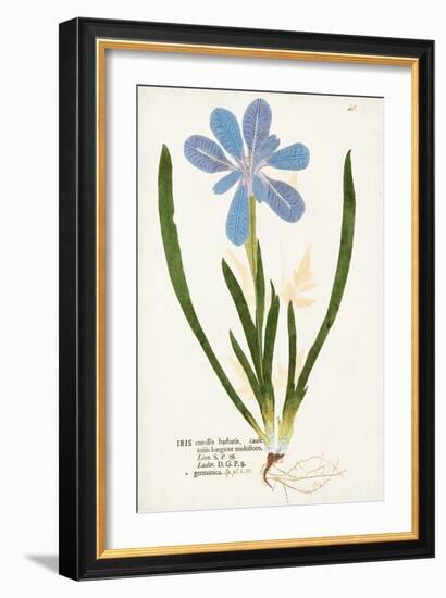 Nature Printed Botanicals XI-Unknown-Framed Art Print