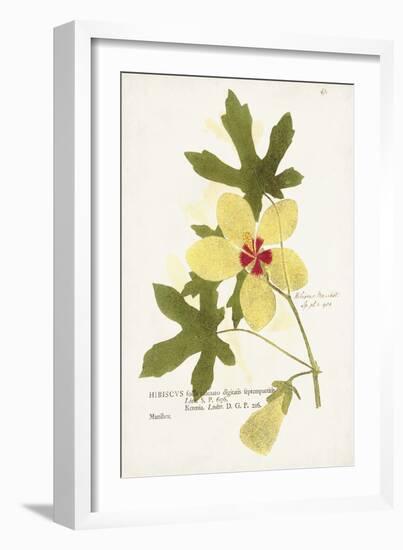 Nature Printed Botanicals XII-Unknown-Framed Art Print