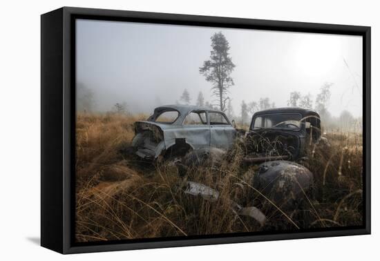 Nature Reclaim-Andreas Stridsberg-Framed Stretched Canvas