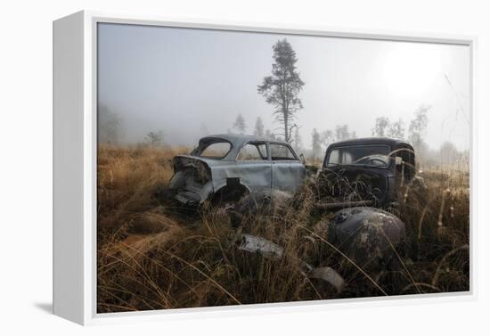 Nature Reclaim-Andreas Stridsberg-Framed Stretched Canvas