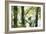 Nature Reflected-Staffan Widstrand-Framed Giclee Print