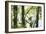 Nature Reflected-Staffan Widstrand-Framed Giclee Print