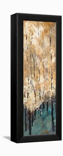 Nature's Abundance I-Luis Solis-Framed Stretched Canvas