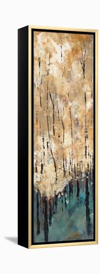 Nature's Abundance I-Luis Solis-Framed Stretched Canvas