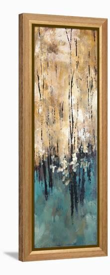 Nature's Abundance II-Luis Solis-Framed Stretched Canvas