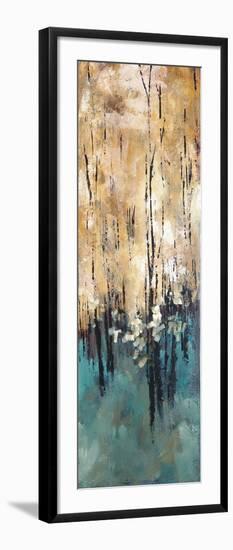 Nature's Abundance II-Luis Solis-Framed Art Print