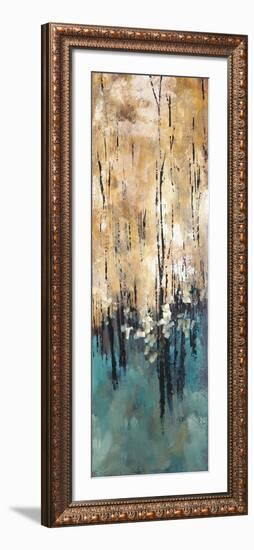 Nature's Abundance II-Luis Solis-Framed Art Print