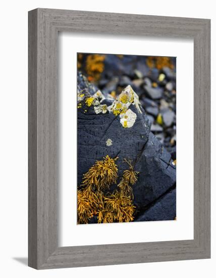 Nature's Art Work-Philippe Sainte-Laudy-Framed Photographic Print