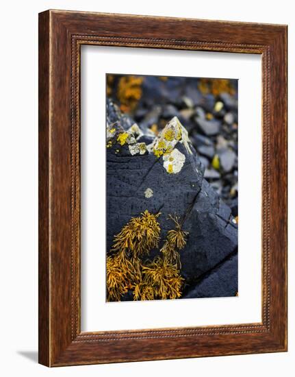 Nature's Art Work-Philippe Sainte-Laudy-Framed Photographic Print