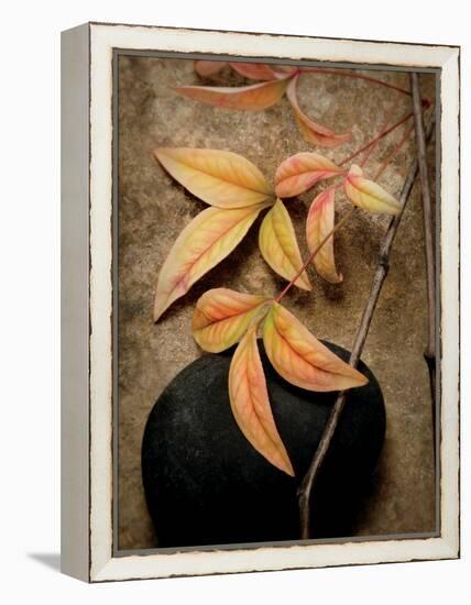 Nature's Balance-Julie Greenwood-Framed Stretched Canvas