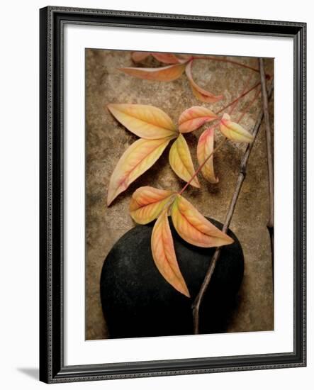 Nature's Balance-Julie Greenwood-Framed Premium Giclee Print