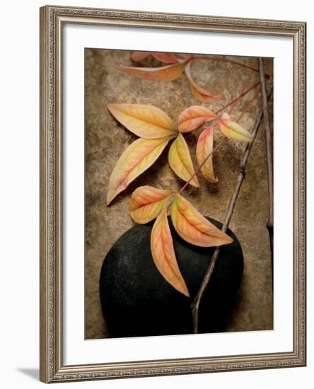 Nature's Balance-Julie Greenwood-Framed Premium Giclee Print