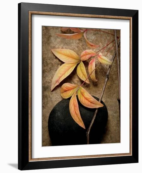 Nature's Balance-Julie Greenwood-Framed Art Print